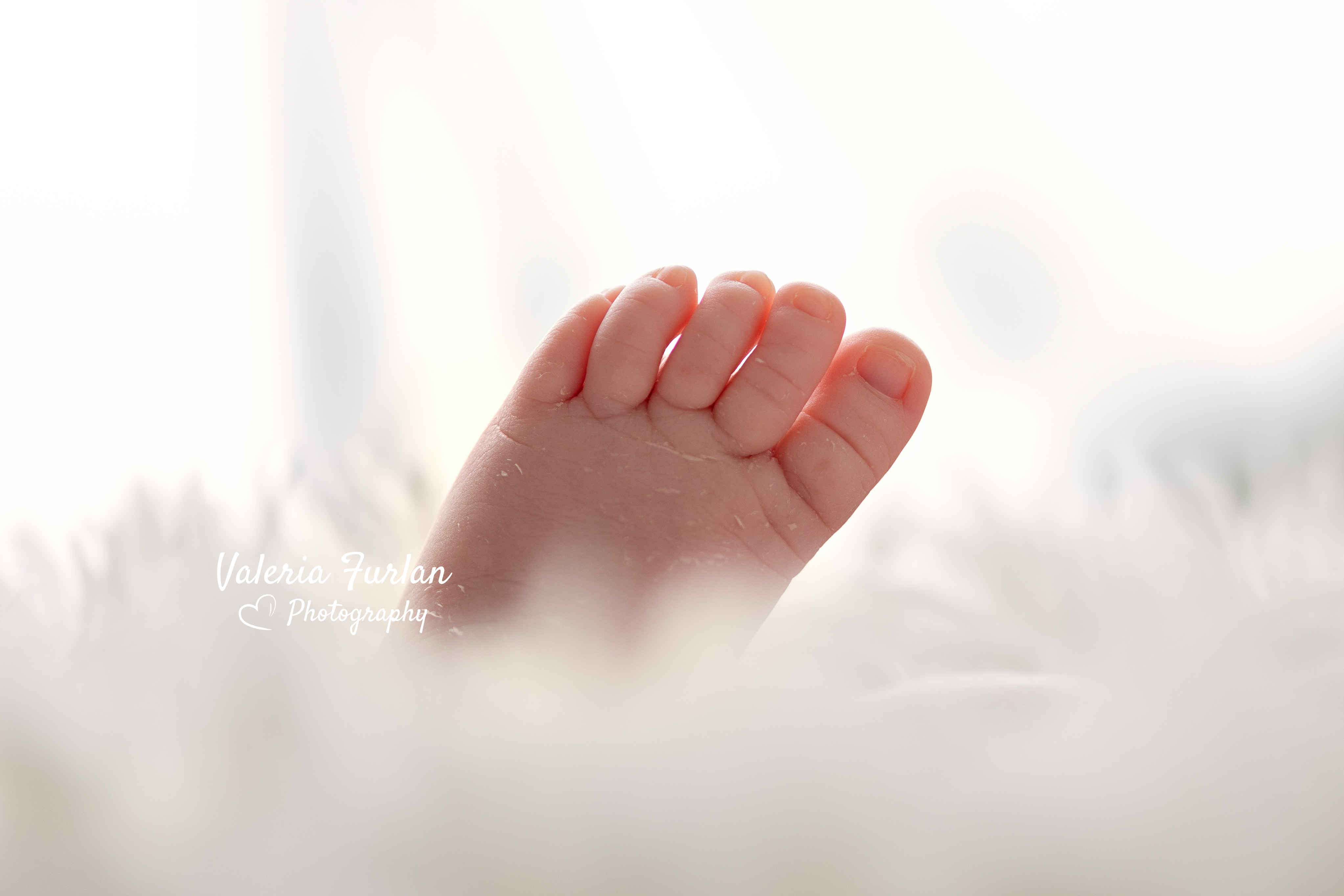 Séance photo de naissance newborn posing nouveau-né