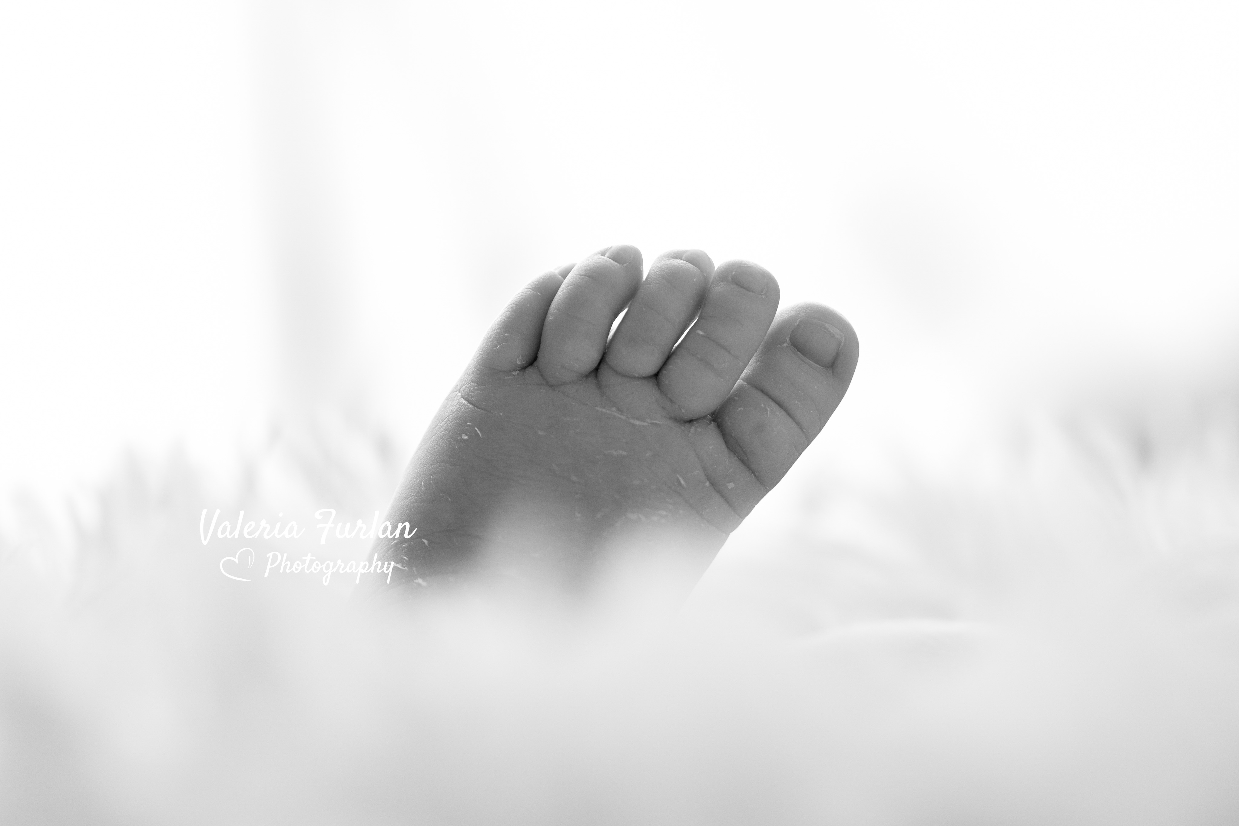 Séance photo de naissance newborn posing nouveau-né